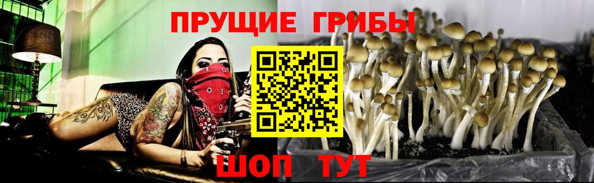 Псилоцибиновые грибы Magic Shrooms Ростов-на-Дону