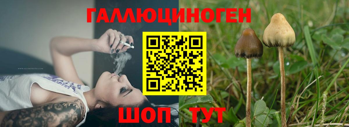 Псилоцибиновые грибы Psilocybine cubensis  Галлюциногенные грибы прущие грибы  Вход с VPN  Ростов-на-Дону 